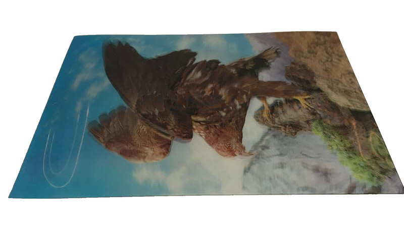 Vintage 3D Eagle Plastic Topan Print 26 cm x 33.5 cm Made in Japan gallery