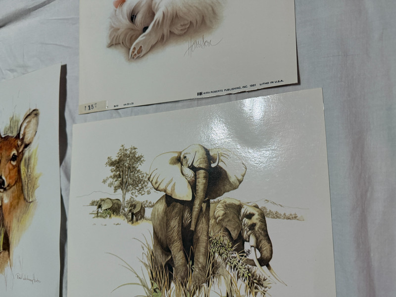 Vintage Lot of 6 Laminated Art Prints 1970s 80s Classroom Pets Animals Harrison gallery