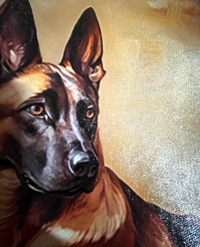 Belgian Mallinois Dog Animal Painting Print Unframed Canvas Wall Art 30 x 40cm gallery