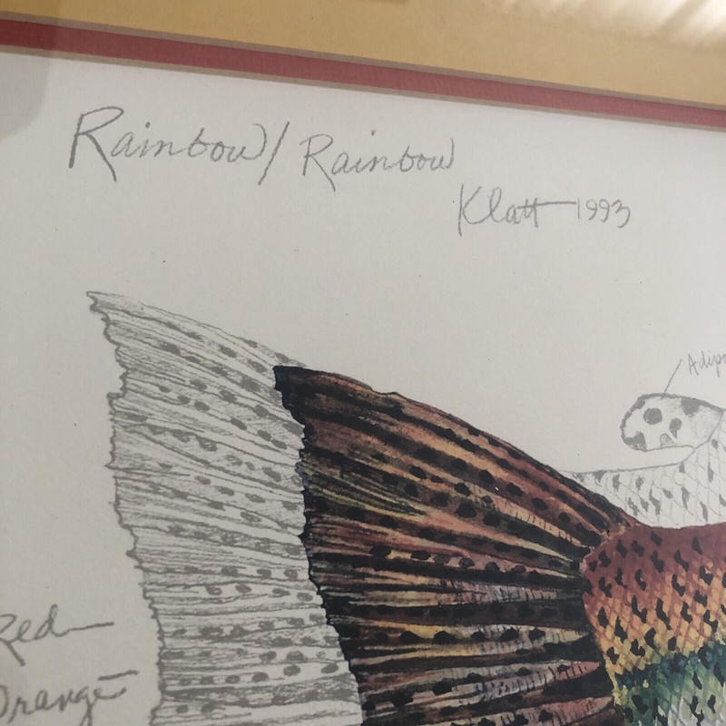 Eileen Klatt 1993 Picture SIGNED 1997 Rainbow Trout Actual Pic 30x22 Framed gallery