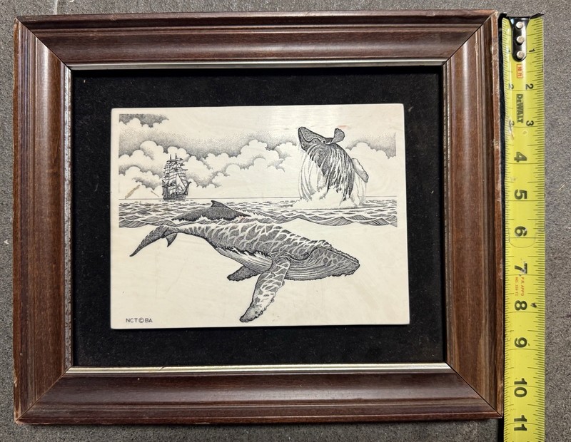 Unique Art Humpback Whale Edge Tule Framed