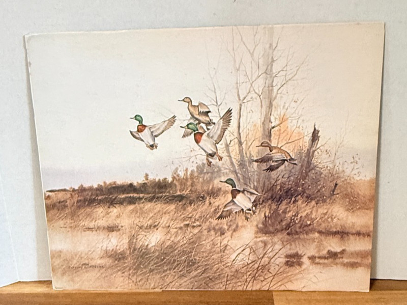 Gregory F Messier 1979 Duck Print Mallards Marsh Wildlife Art 11×14