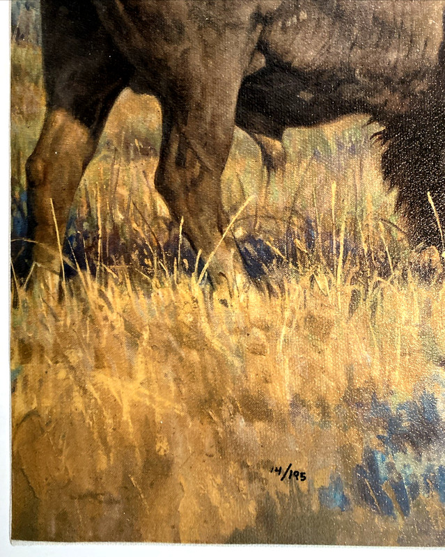 Nancy Glazier "Restless" Mastergraphics on Canvas Cameo Buffalo Bison COA 14/195 gallery