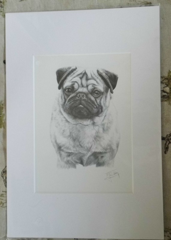 ART PRINT OF PUG BY M. SIBLEY