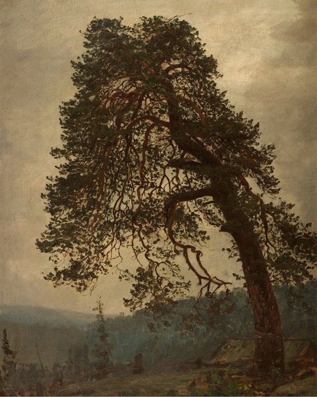 Vintage Rustic Tree Painting Reproduction Giclee Print on Fine Art Paper