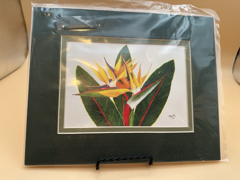 Hawaiian Print Wall Art, Signed, Bird Of Paradise, Floral, 5x7 Matted To 8x10