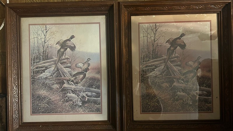 set of 2 Pheasants In Flight Gregory Messier Wood Framed ( 1 light/ 1 dark)