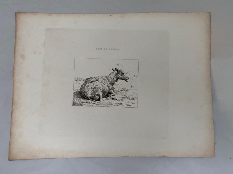 GEORGIAN ETCHING 1822 LONE SHEEP FARMING from a work by KARL DU JARDIN gallery
