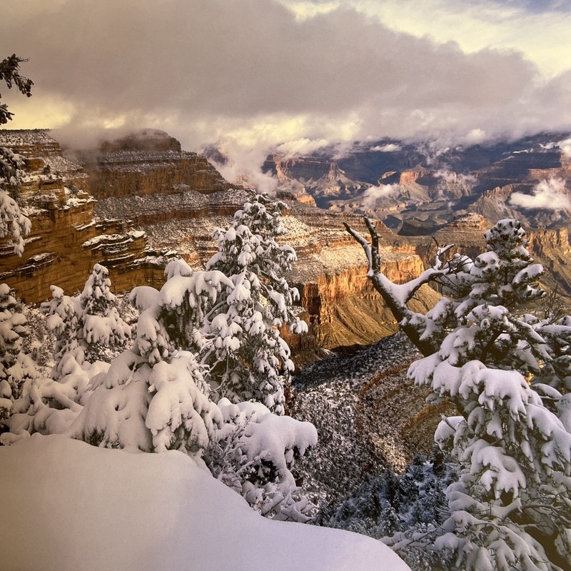 Snow Covered Grand Canyon Photograph Print Art Matted 25 x 29 inch gallery