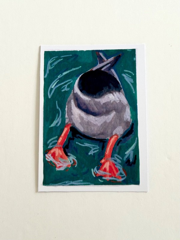 ACEO PRINT Acrylic Marker Art Card, Waterfowl, 2.5" x 3.5" Signed by Aedan gallery