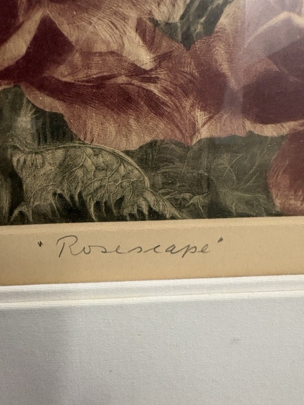 G.H. Rothe "Rosescape"Signed Color Mezzotint Art Print–Rare Artist's Proof 8/15 gallery