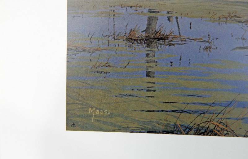 David Maass - Mirrored Solitude -Brown & Bigelow Print - 23 in x 17.5 in - Ducks gallery