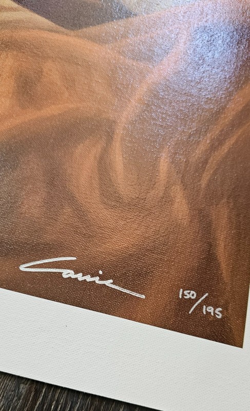 Carrie Graber Last Chapter HAND SIGNED art Canvas 150/195 woman in bed portrait gallery