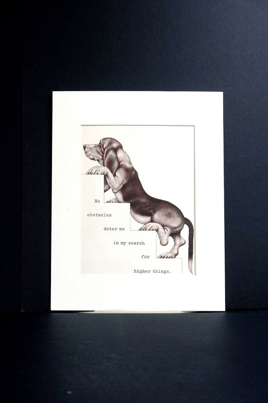 Boswell BASSET HOUND SEARCHING FOR HIGHER THINGS 1958 Vintage Dog Print Matted gallery
