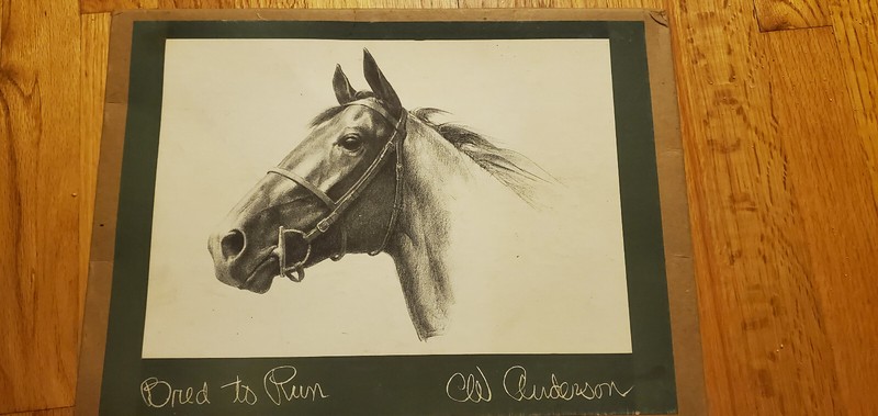 C.W. Anderson vintage bred to run horse prints 1960