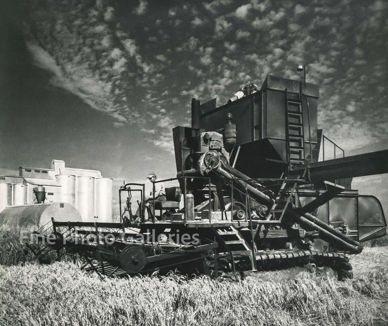 1950s Original Vintage ANSEL ADAMS Rice Harvesting Food Farming KROMEKOTE Photo