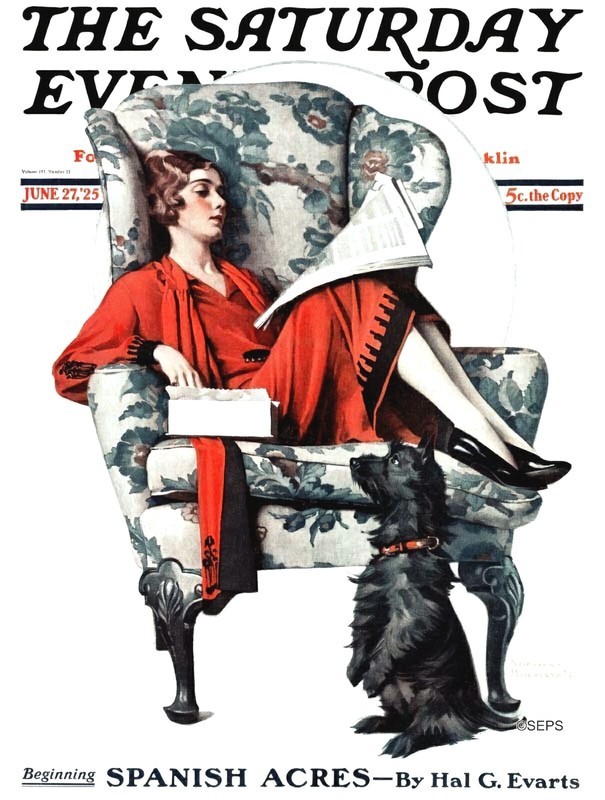 Saturday Evening Post 1925 Cover Reproduction Giclee Sunday Paper