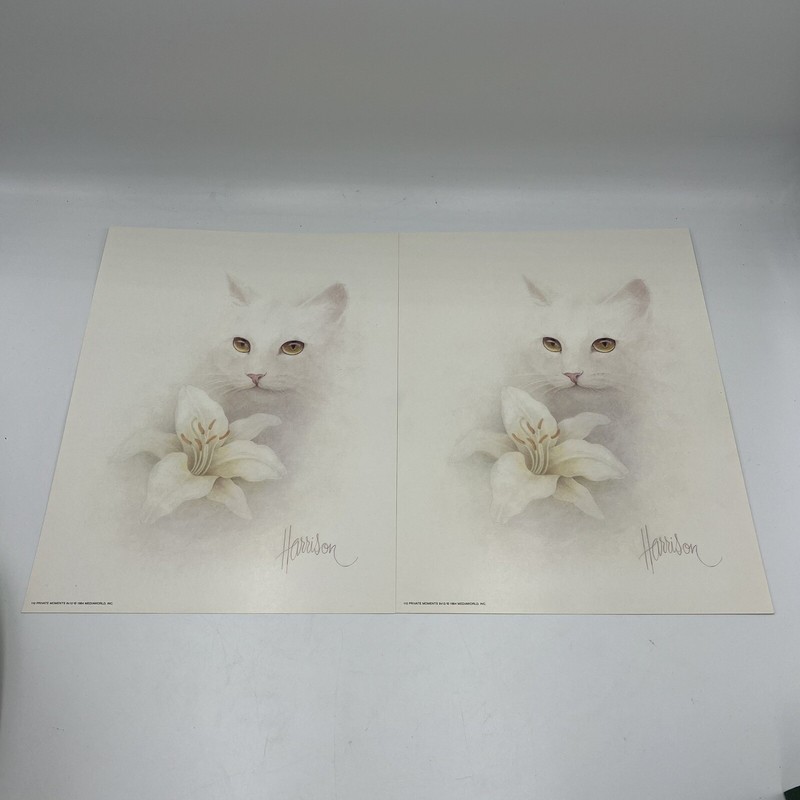 Bob Harrison Lithograph White Cat Prints (7) with Flowers 9x12 Vintage 1984 1982 gallery