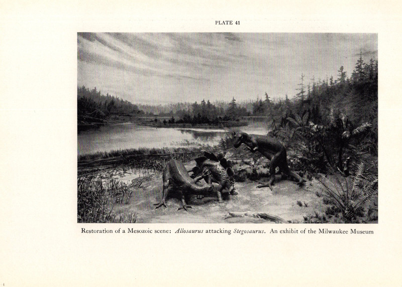 1938 Vtg Dinosaur Print – Allosaurus attacking Stegosaurus, DOUBLE SIDED PRINT