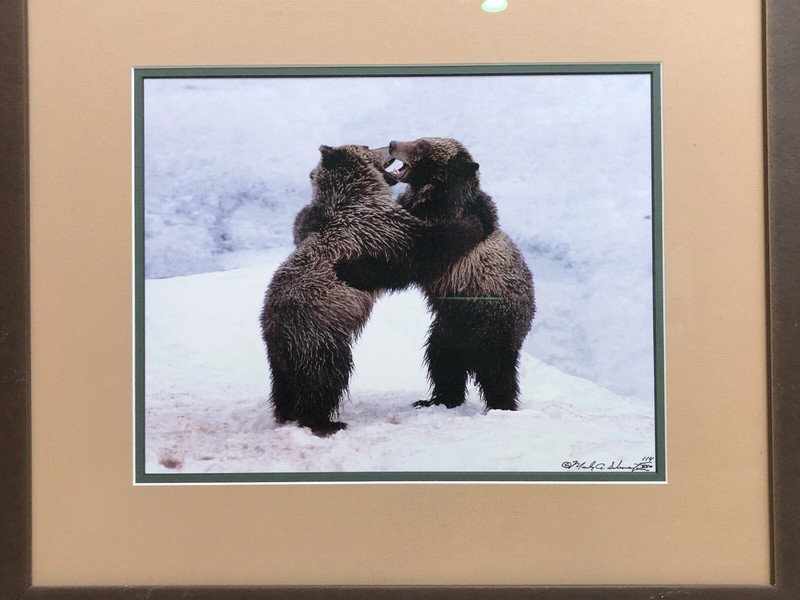 Mark A. Schuster Wild Animal Bears Photography, Limited Edition, Signed, Framed