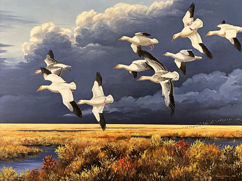 Maynard Reece «Dark Sky – Snow Geese» Limited Edition Hand-Signed Print #272/950