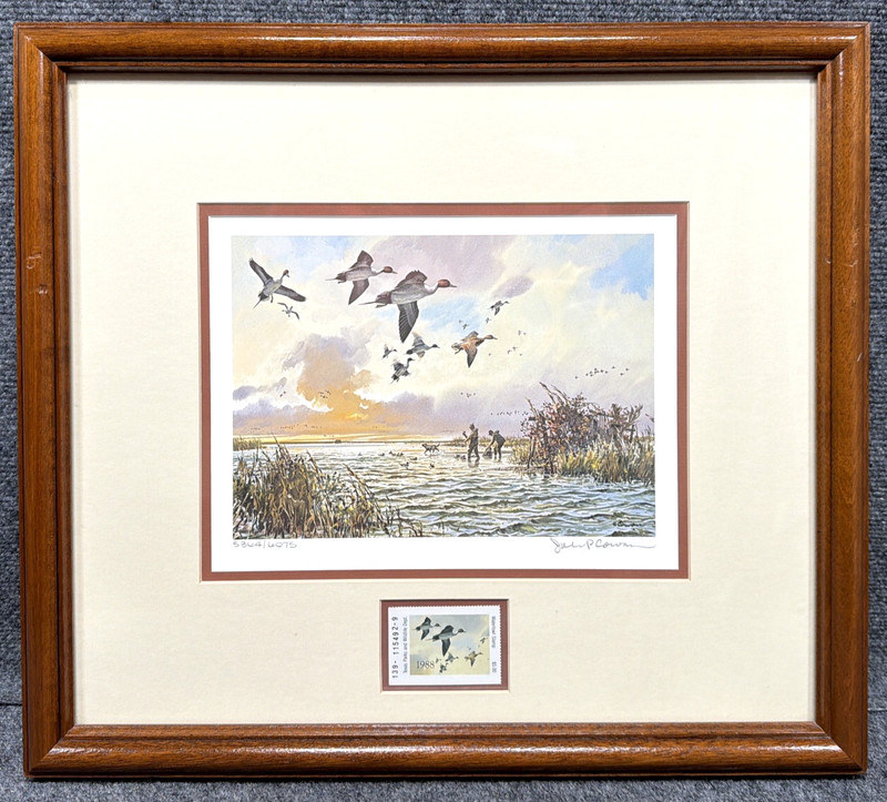 1988 Texas Duck Stamp Print by John P. Cowan Signed & Numbered 5364/6075 Framed