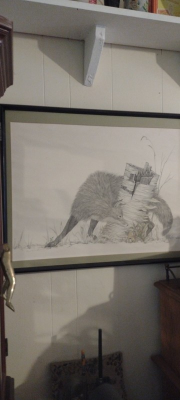 PETER PARNALL XRare Vtg 1972 OOP Open Ed Colored Halftone Litho Print THE FOX
