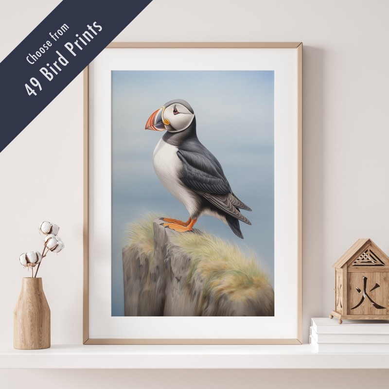 Wild Bird Print – British Birds Wall Art – 49 Variations – Nature Lover Gift