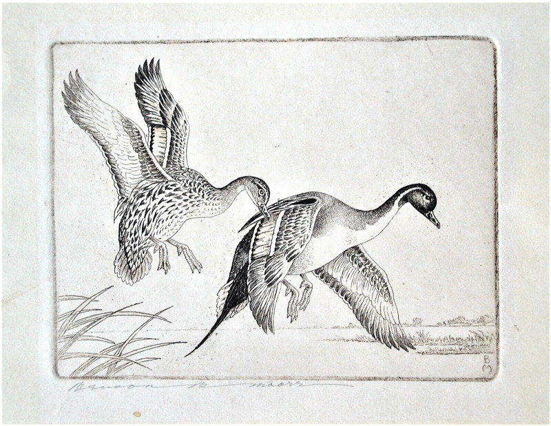 Benson Bond Moore Signed Etching of Waterfowl (I) Pintails