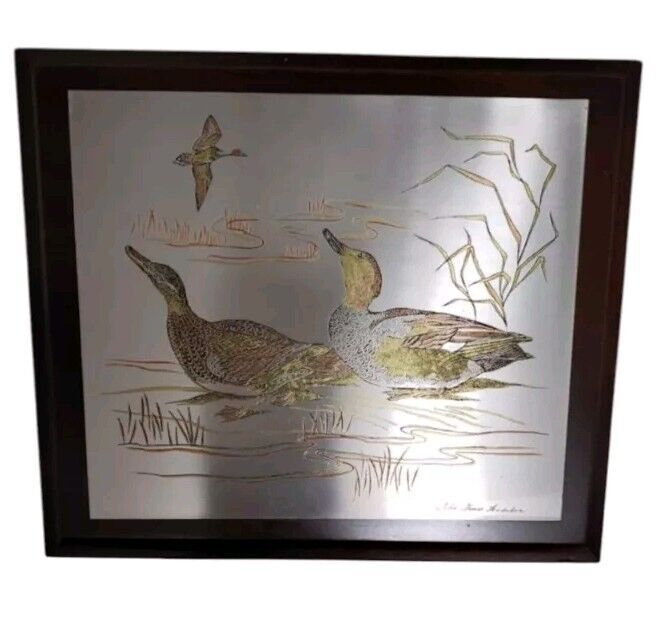 John James Audubon Gadwall Duck Metal Engraving Limited Edition