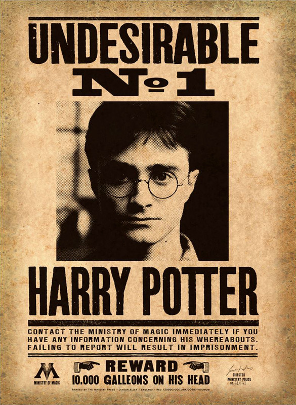 HARRY POTTER POSTER PRINT – CHOOSE DESIGN/SIZE – FRAMED OPTIONS a