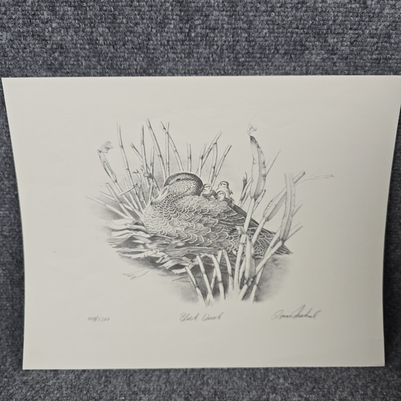 Black Duck Limited Edition Print Signed Numbered 1119/1500 Waterfowl Art