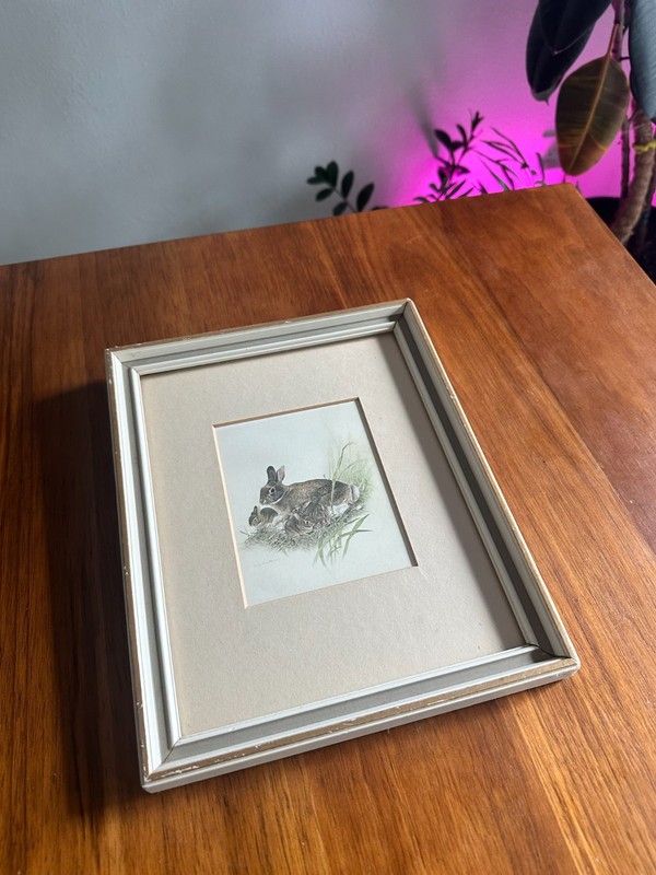Vintage Martin G. Loates Framed Lithograph Mother Rabbit and Bunnies 9" x 11" gallery