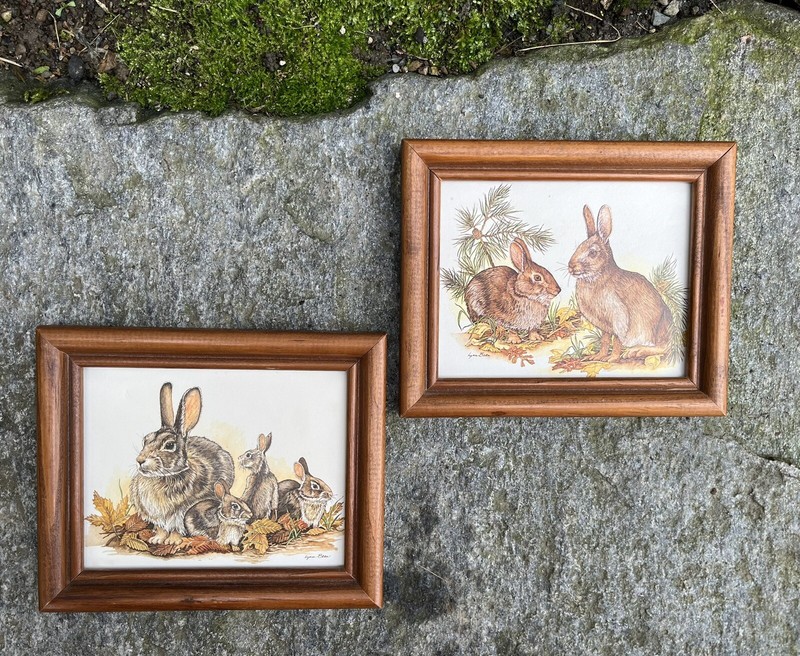 Vintage Rabbits Bunny Watercolor 80s Prints Art Autumn Fall Nature Lynn Bean