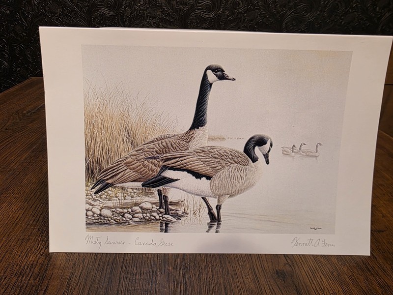 Misty Sunrise Canada Geese Kenneth A. Ferris Signed 9" X 6" Card With Envelope