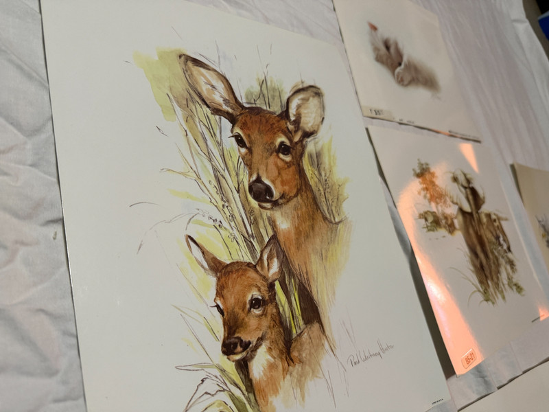 Vintage Lot of 6 Laminated Art Prints 1970s 80s Classroom Pets Animals Harrison gallery