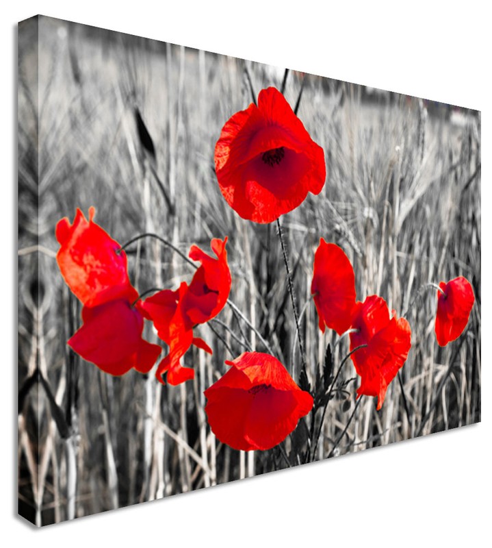 Poppy Red Black & White Flower Canvas Wall Art Picture Print