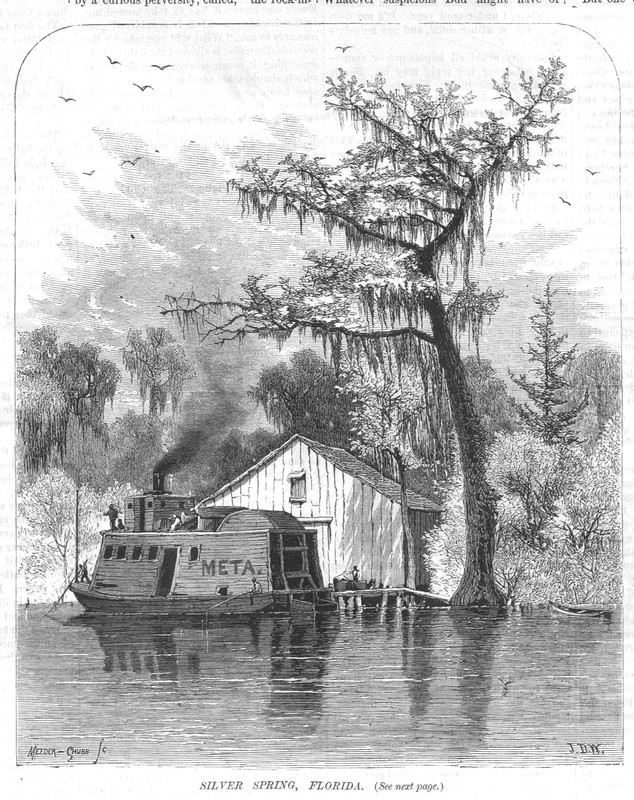 Florida Sketches – Silver Spring – by J D Woodward – 1871 Historical Print
