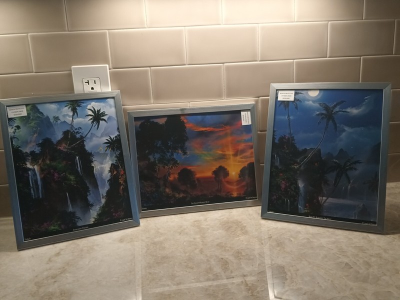 DALE TERBRUSH (3 Pack)-Framed 8×10 Photo Prints 2 Portrait/1 Landscape Pictures