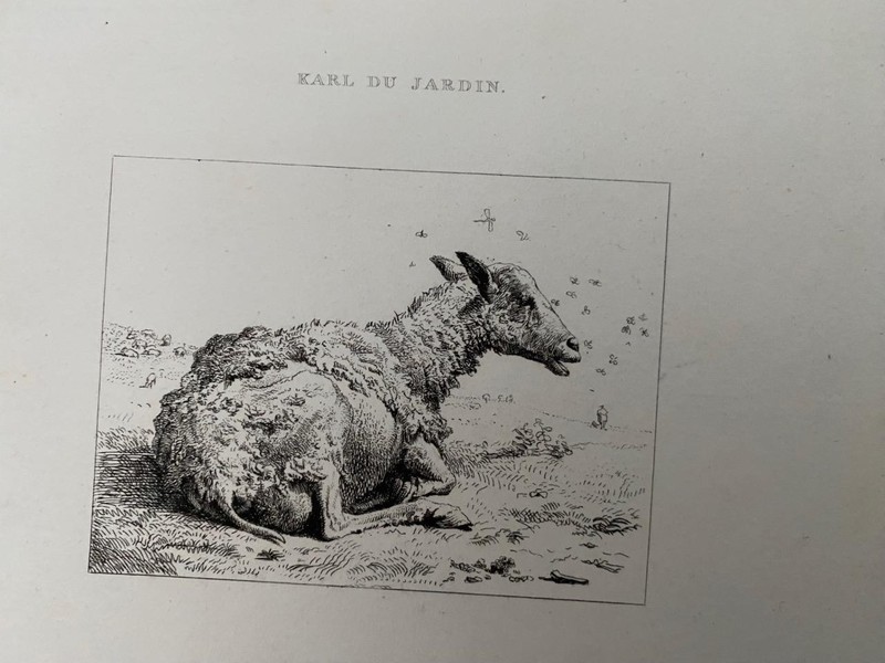 GEORGIAN ETCHING 1822 LONE SHEEP FARMING from a work by KARL DU JARDIN