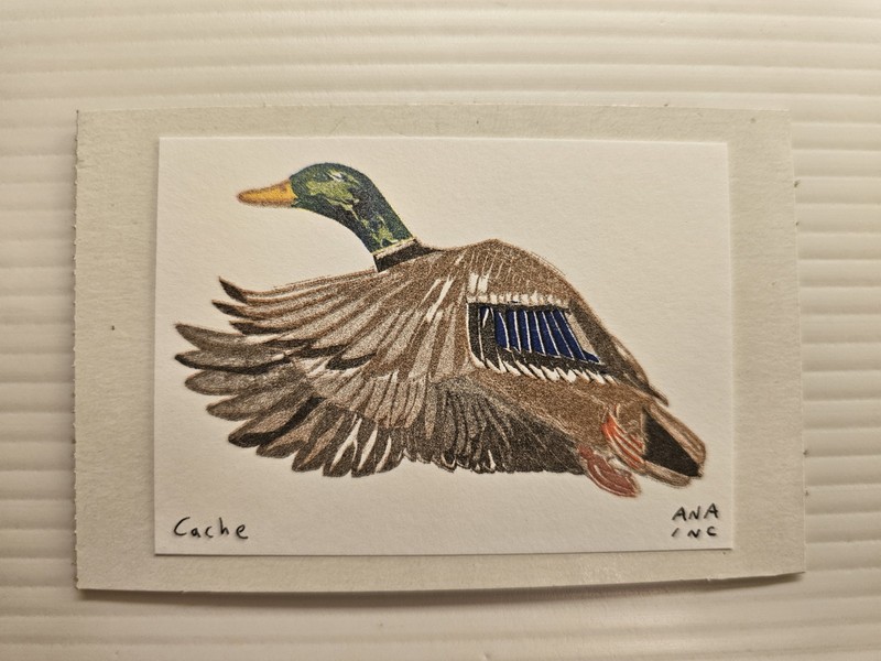 Cache Ana Inciardi Mini Print