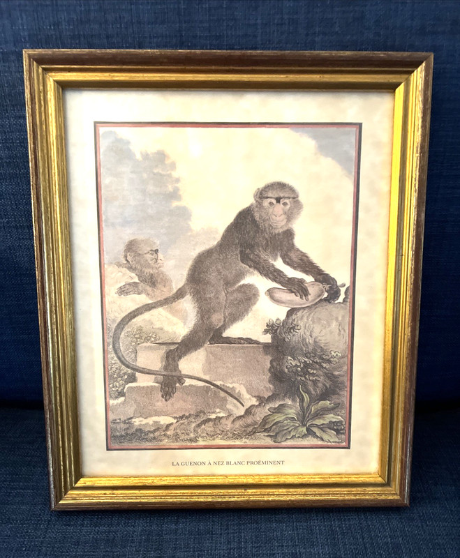 Jacques Eustache de Seve Monkey Etching Print La Guenon A Nez Blanc Proeminent