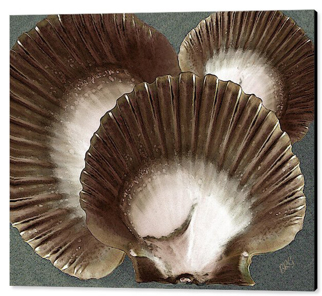 Seashells Spectacular No 22, 24"x36", Print on Metal