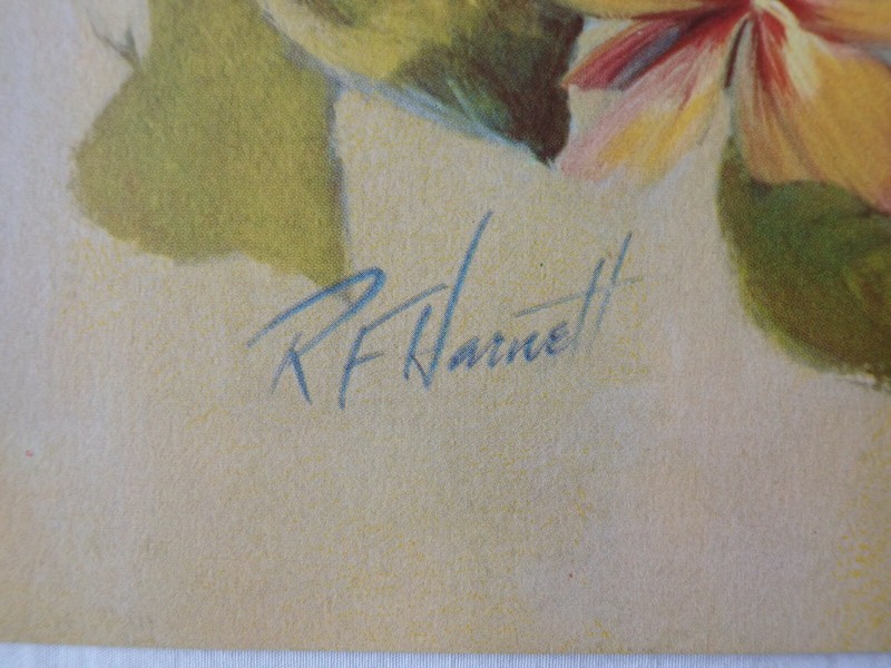 VINTAGE RF HARNETT ROBIN BIRDS LITHOGRAPH WALL ART PRINT KAPLAN CO 36" x 12" gallery