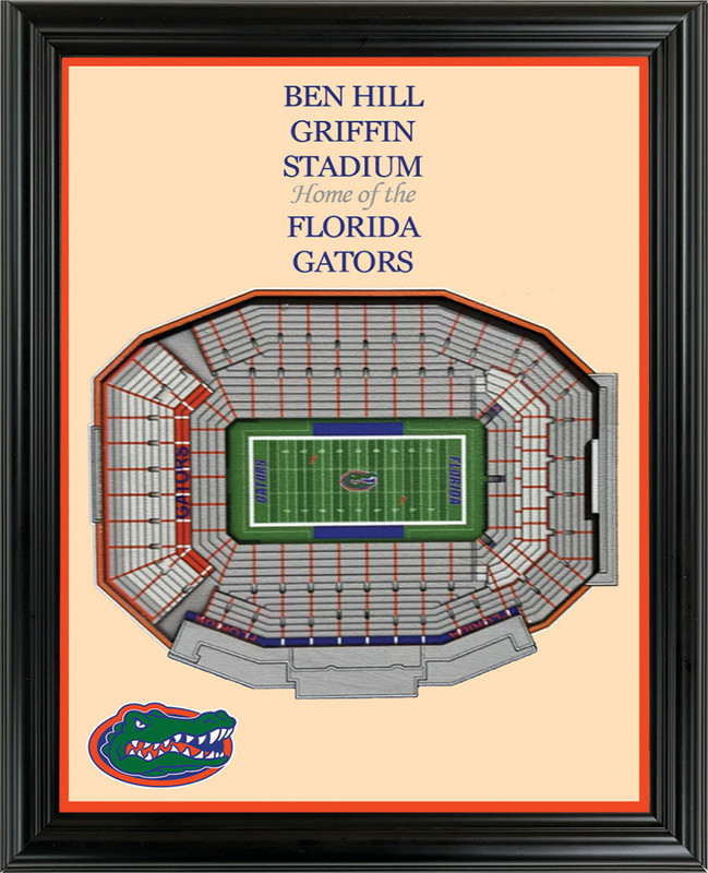 Florida Gators Framed Sports Art Photo by Thomas Maxwell