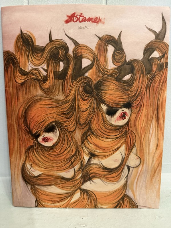 Miss van Booklet