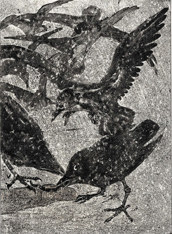 Kraaien in de sneeuw by Theo van Hoytema Art Print