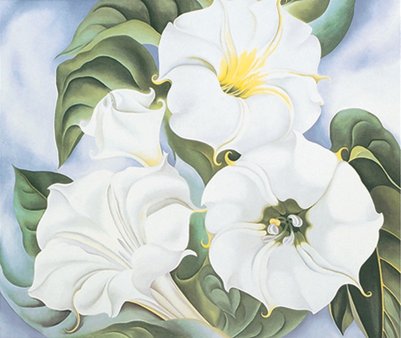 Jimson Weed, 1935 by Georgia O’Keeffe Art Print Floral Flower Poster 11×14
