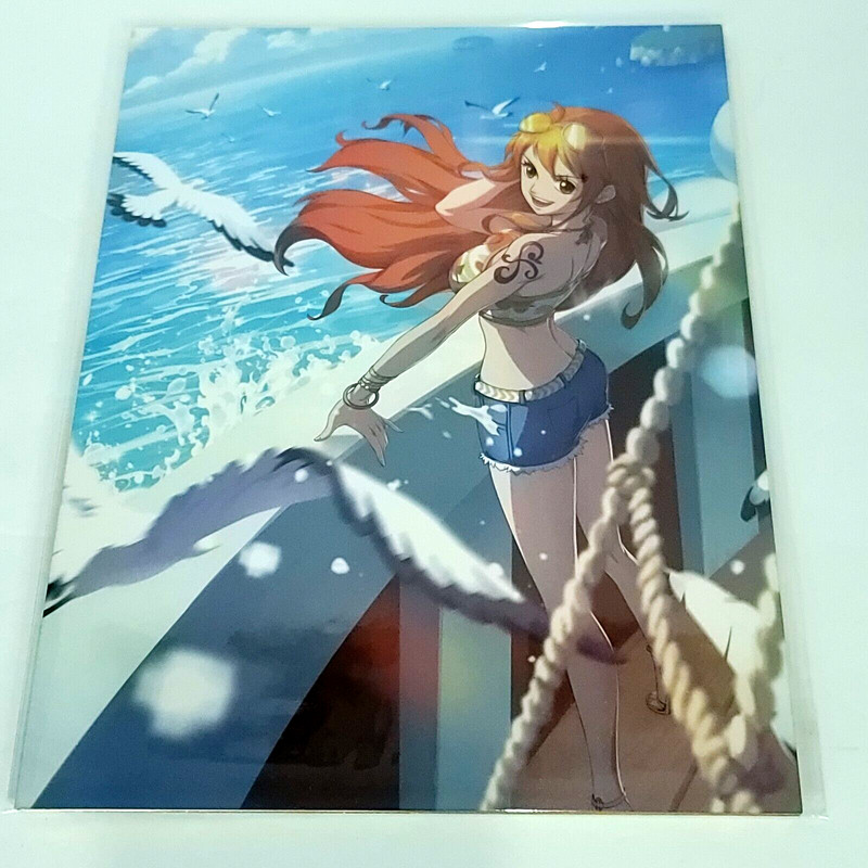 Nami Sunny One Piece HZ2-059 Double-sided Art Size A4 8″ x 11″ Waifu Card