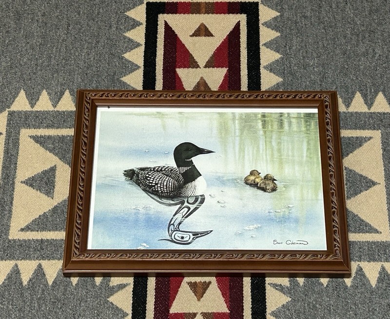 Sue Coleman Loon Chicks Signed Framed Wildlife Art Print
